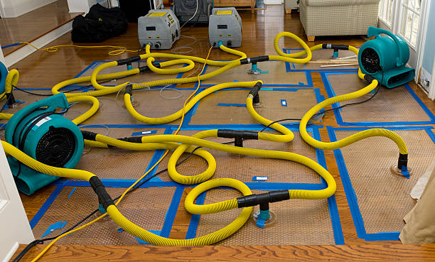 Professional Water Damage Restoration technician working in Georgetown, KY